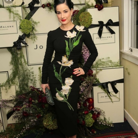 - Dolce & Gabbana NWT RARE Dress aso DITA - Picture 1 of 8